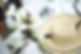 image00014.jpeg