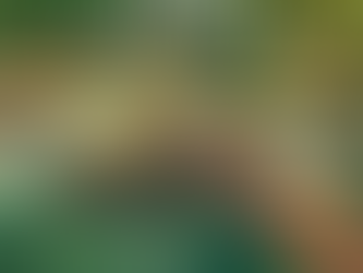 Waterfalls in Sedona