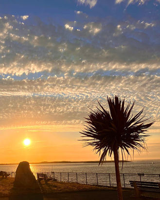 Sunset over water with palm tree silhouette