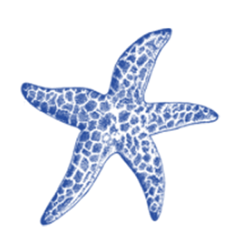 Stylised blue and white starfish