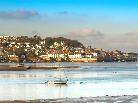 Appledore beach with boats and houses
