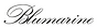 blumarine.png