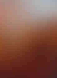 fading light of late autumn landscape in soft pastel