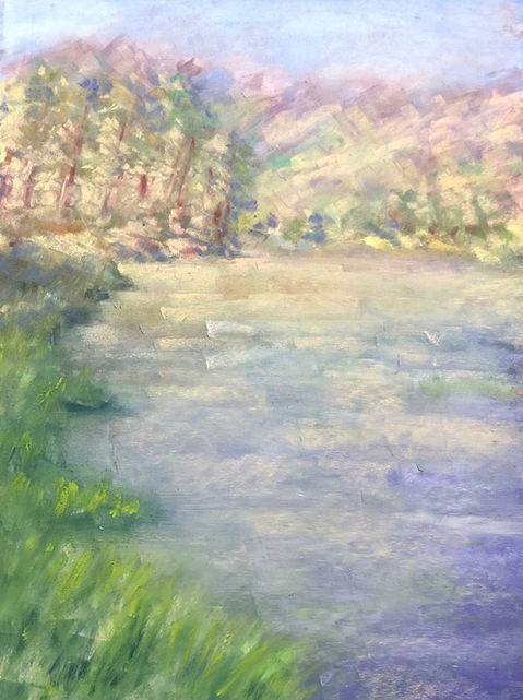 Soft pastel landscape with pine trees in light in the Pyrenees