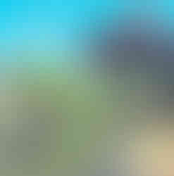 a painting of a Chinese parc with red lanterns by vinassac