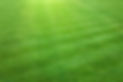 Grass.jpg