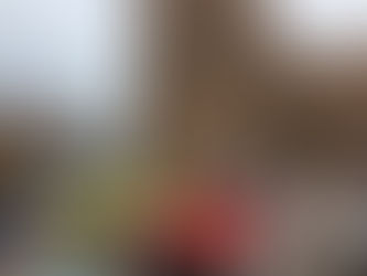 Fin de saison tumultueuse à Albi