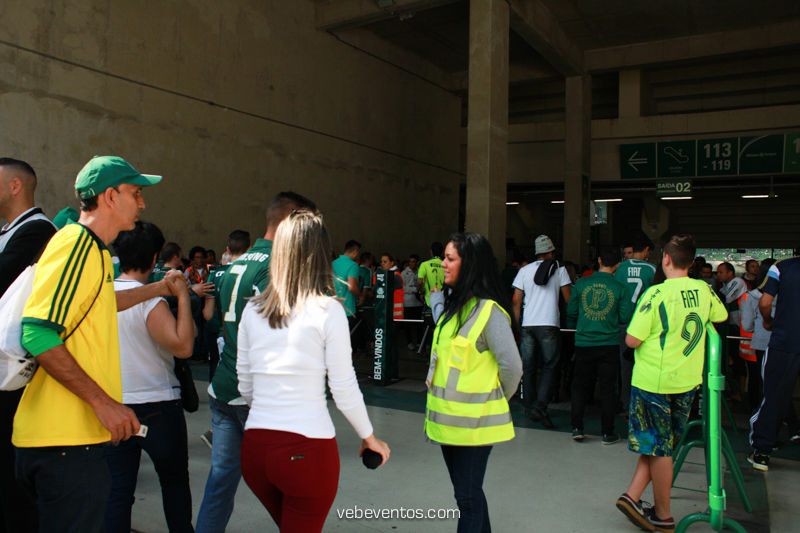 Jg_Palmeias_e_Atlético_Mineiro-140