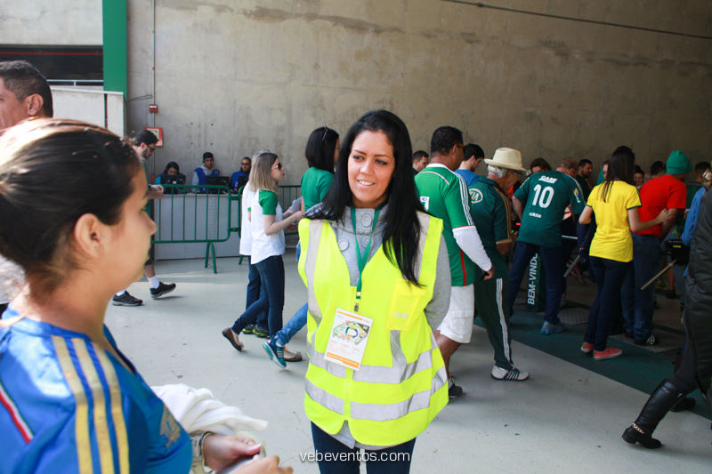 Jg_Palmeias_e_Atlético_Mineiro-143