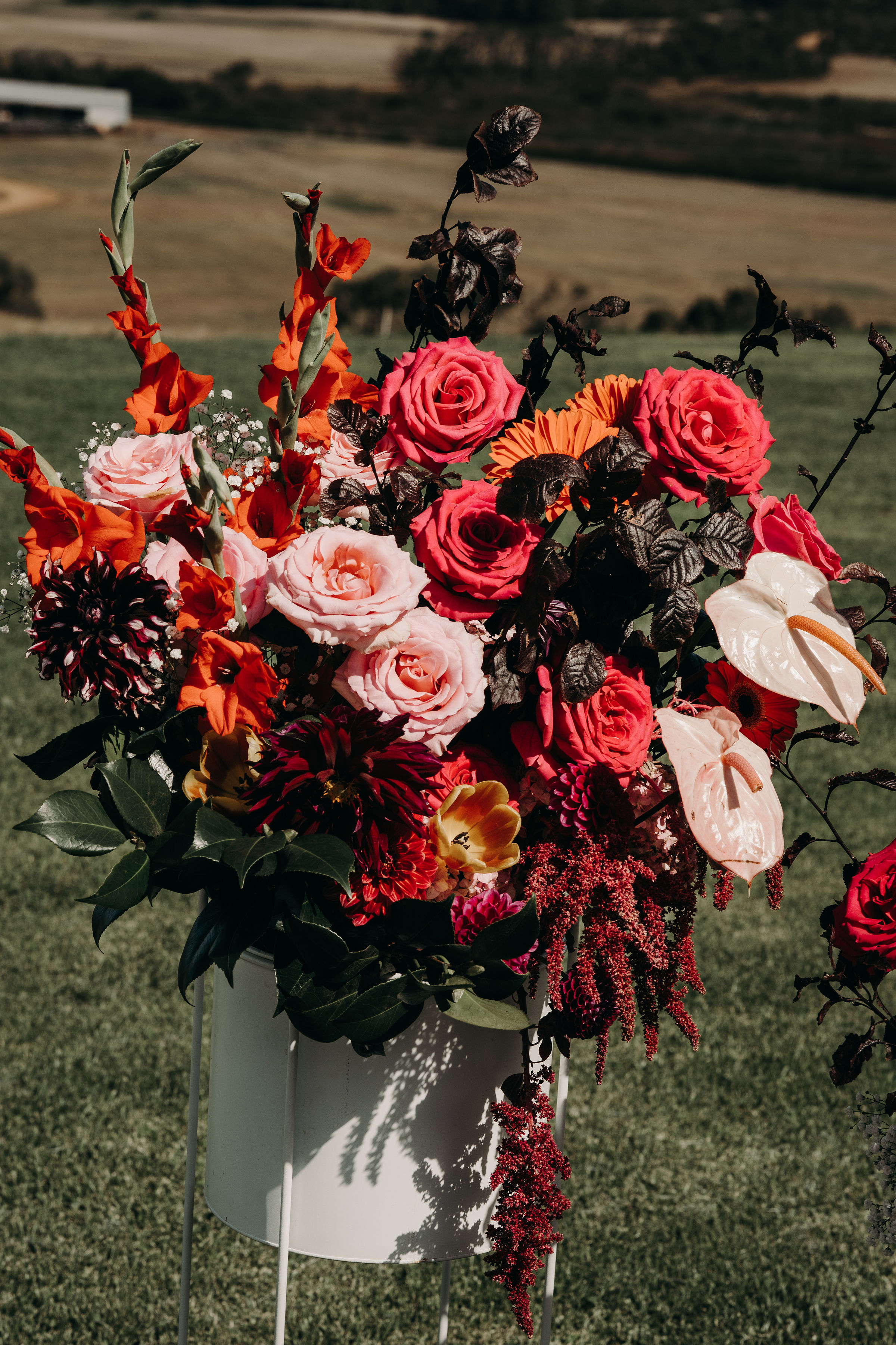 Joy Botanical — photo 11 of 14