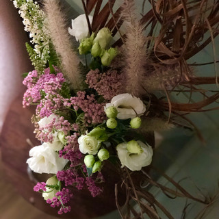 IMG_3942.jpeg