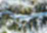 Nature and natural landscape to represent natural and holistic health care