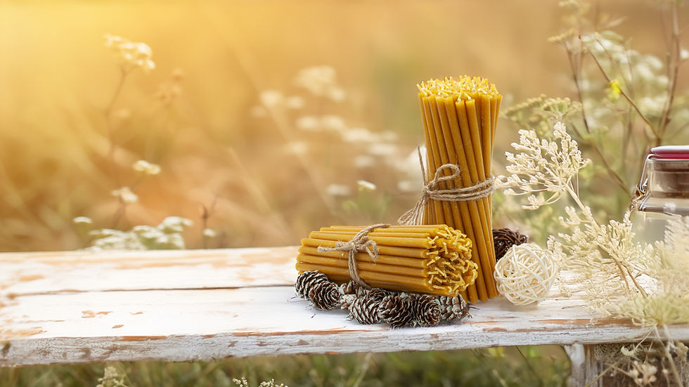 A rustic bundle of natural beeswax candles tied with twine, displayed on a weathered wooden surface, surrounded by dried flowers and pinecones. The warm, golden tones of the candles blend harmoniously with the soft, blurred background of a sunlit meadow, evoking a sense of nature, purity, and tranquility.