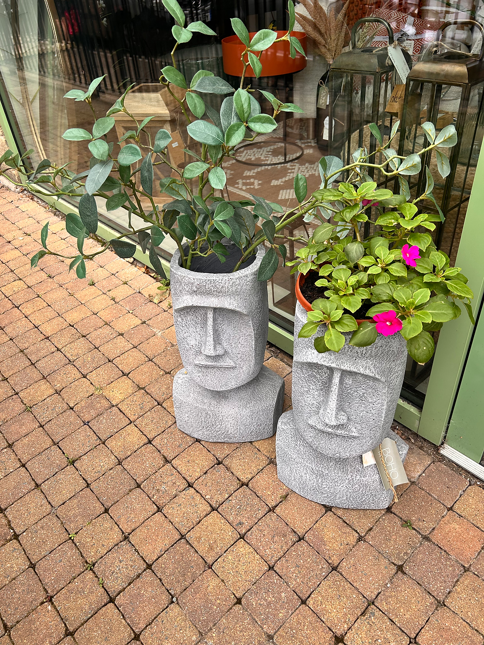Quirky Planter Heads