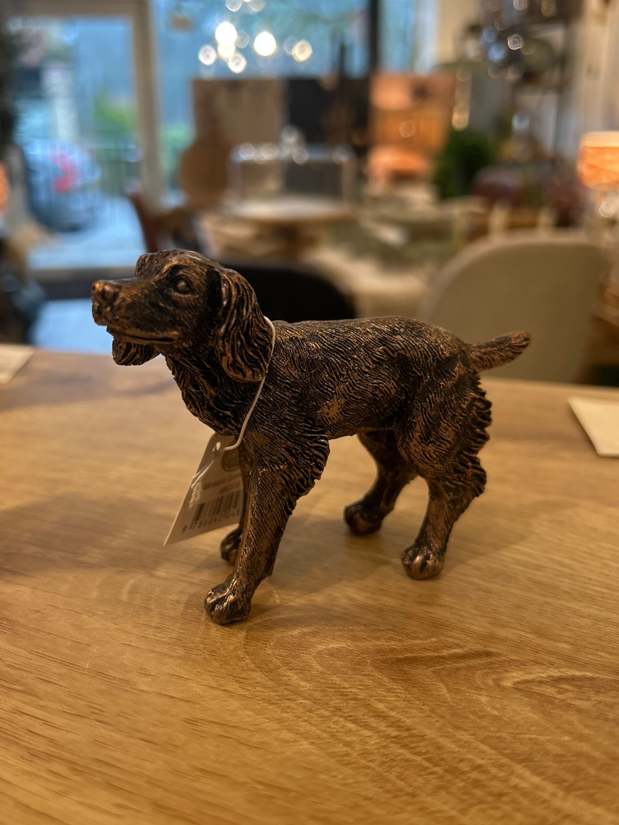 Miniature Cocker Spaniel Bronze