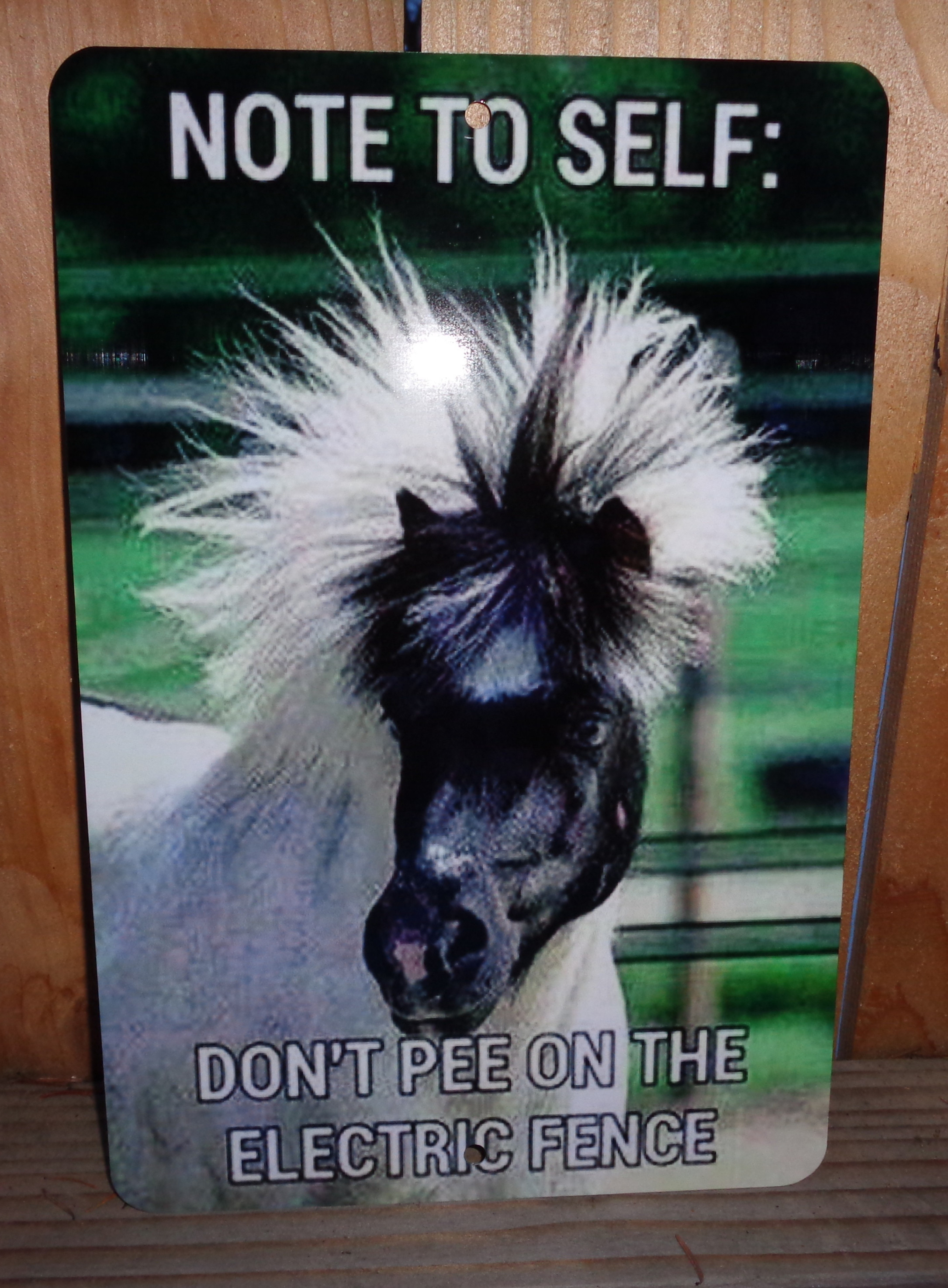 Sign - Electric Fence!