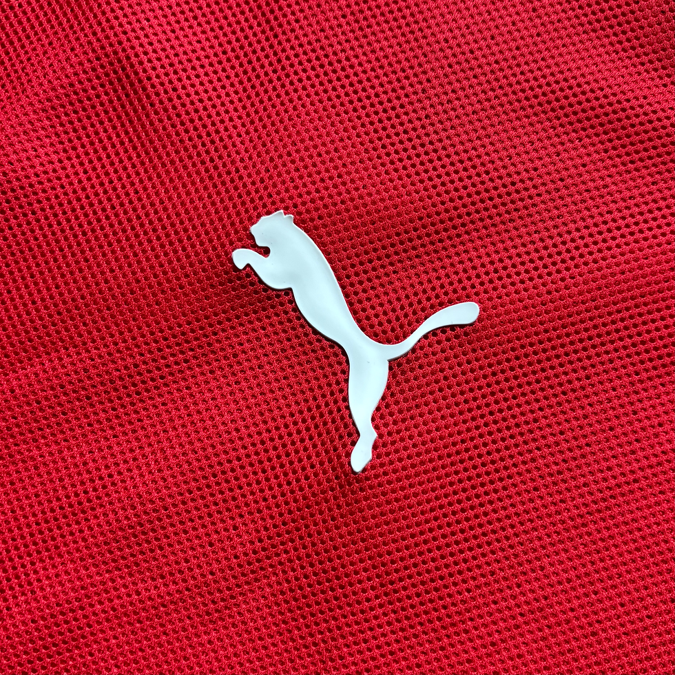 Miniature : 2008-10 - Switzerland - Home Shirt - XL 734238 jersey maillot trikot Euro Schweiz Suisse