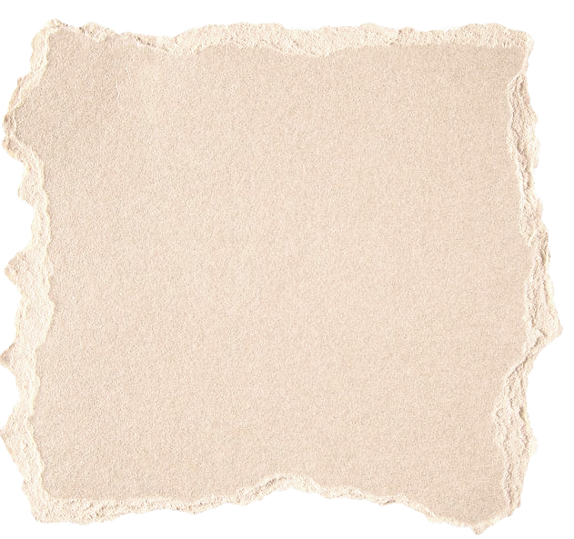 3ac95112e3105b05d4006d10c4e49da0_edited_edited.png