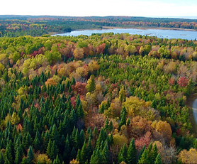 Capture d’écran, le 2025-11-26 à 20.53.21.jpeg
