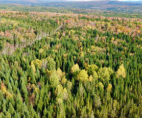 Capture d’écran, le 2025-11-26 à 20.58.40.jpeg