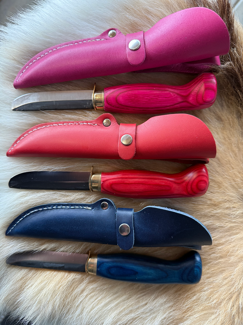 Thumbnail: Barnekniv -23PP ENSI væri-