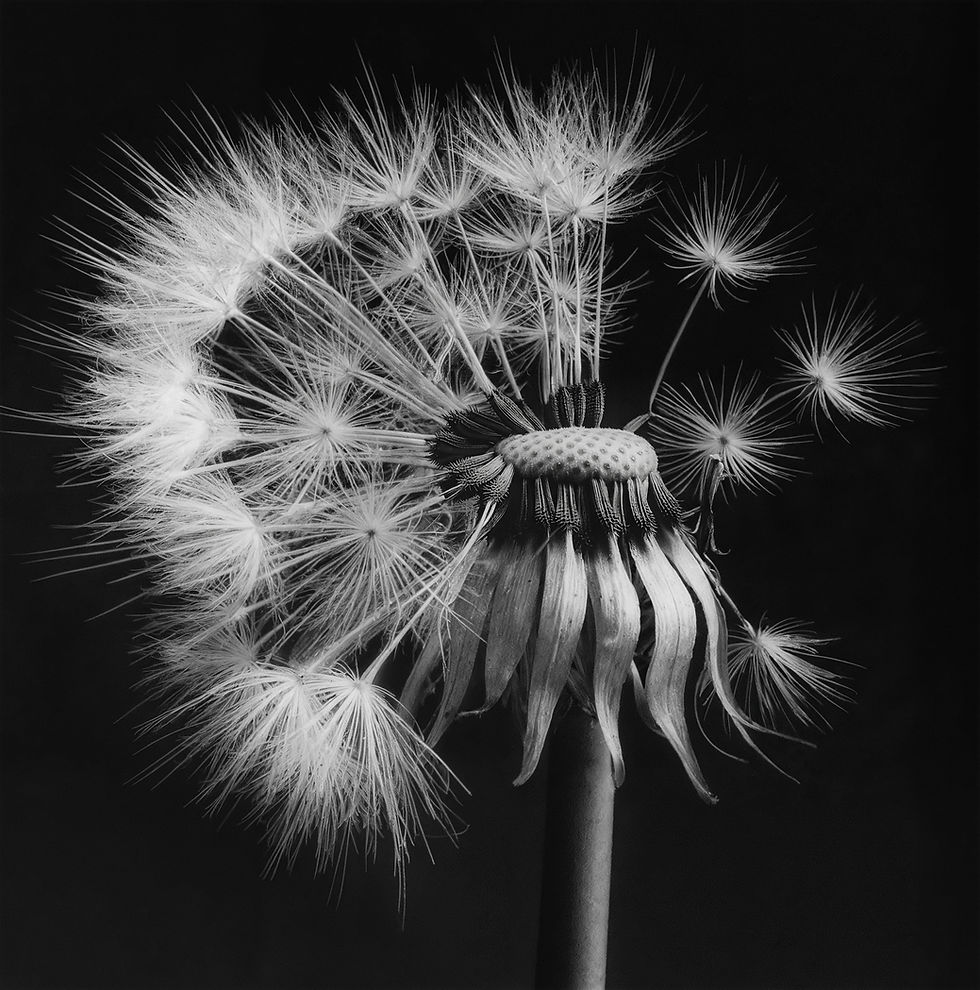 Remembering the Departed