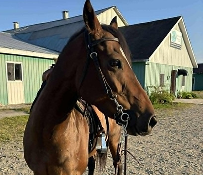 téléchargement (1)_edited.jpg