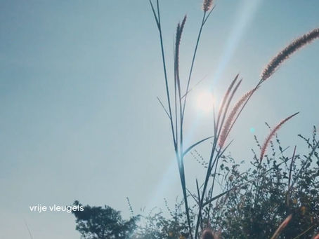 Hij heeft een open relatie. En ik twijfel.