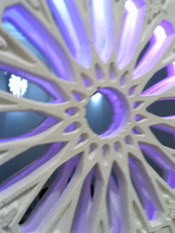 Staff Sharanga-Design