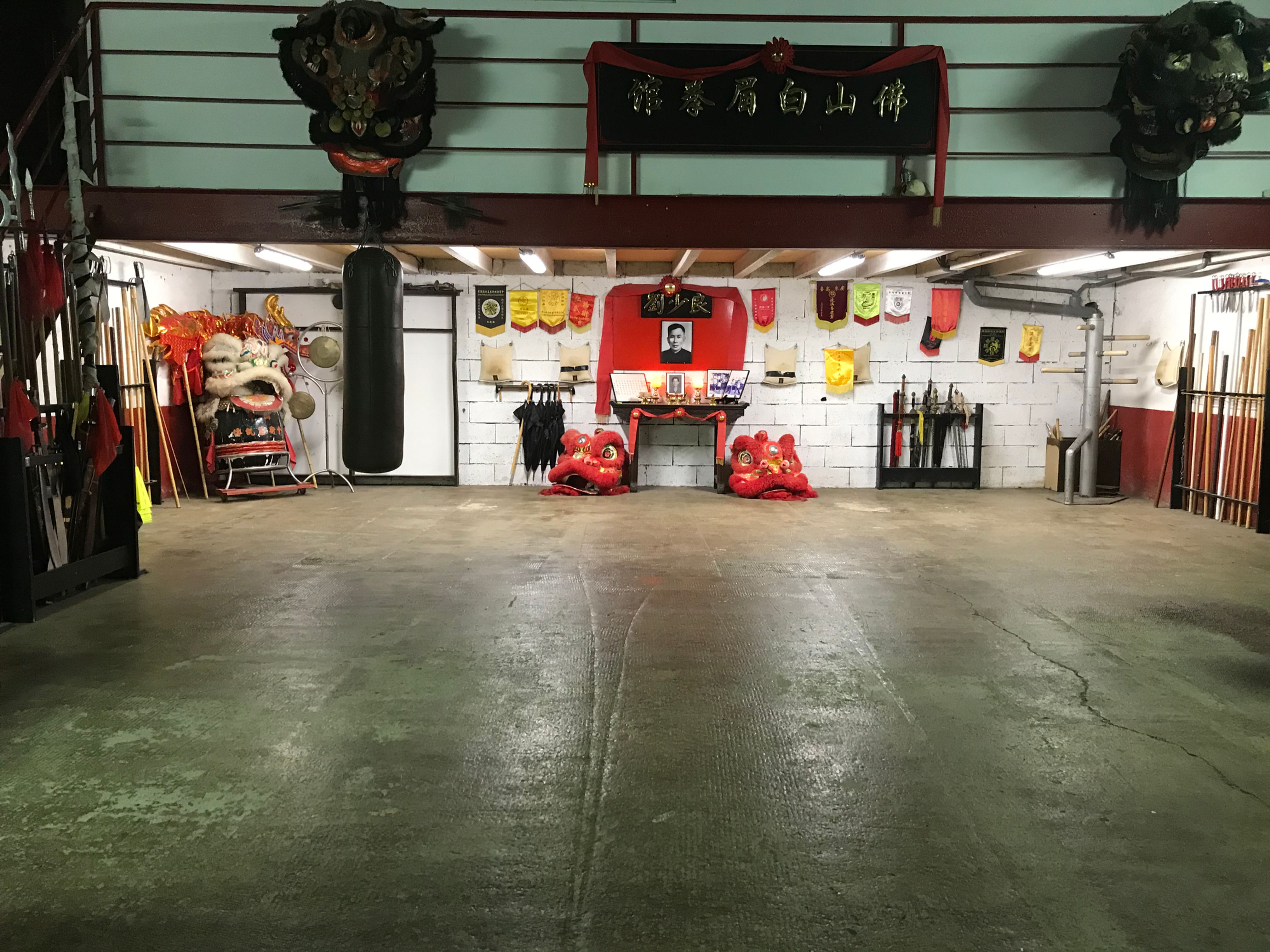 Armes + Danse de lions Adulte