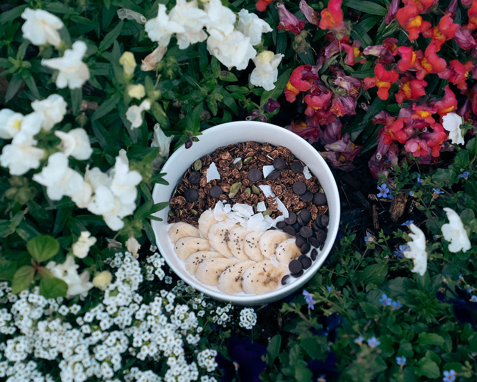 Thumbnail: Protein Cocoa Granola