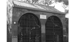The Chinese in South Asia by Zhang Xing and Tansen Sen 
