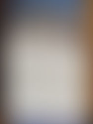 Emily Wilson's The Odyssey - A Critical Review (Updated)