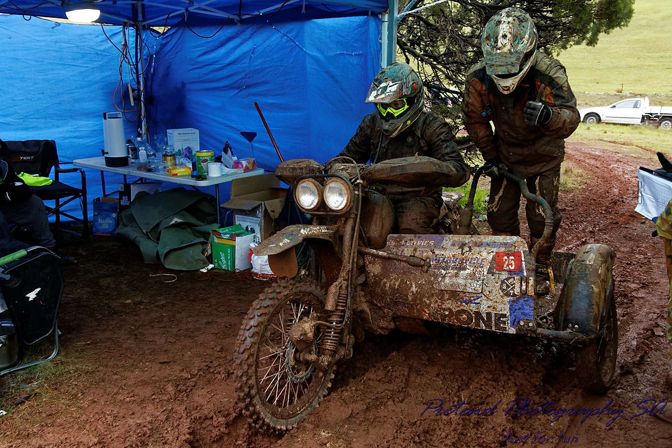 IMG_0508_DxO