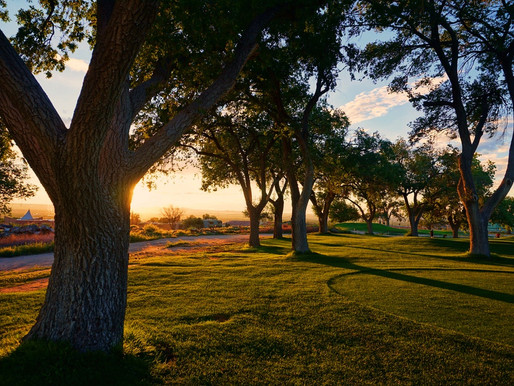 Deconstructing Effective Leadership: The Golf Club