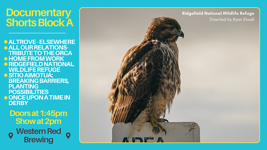 Film Block Graphics (7).png