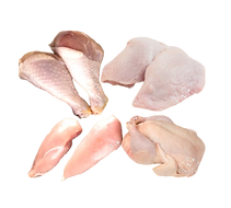 pollo-Photoroom.png