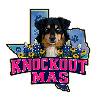 KO MAS Transparent Background.png