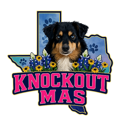 KO MAS Transparent Background.png