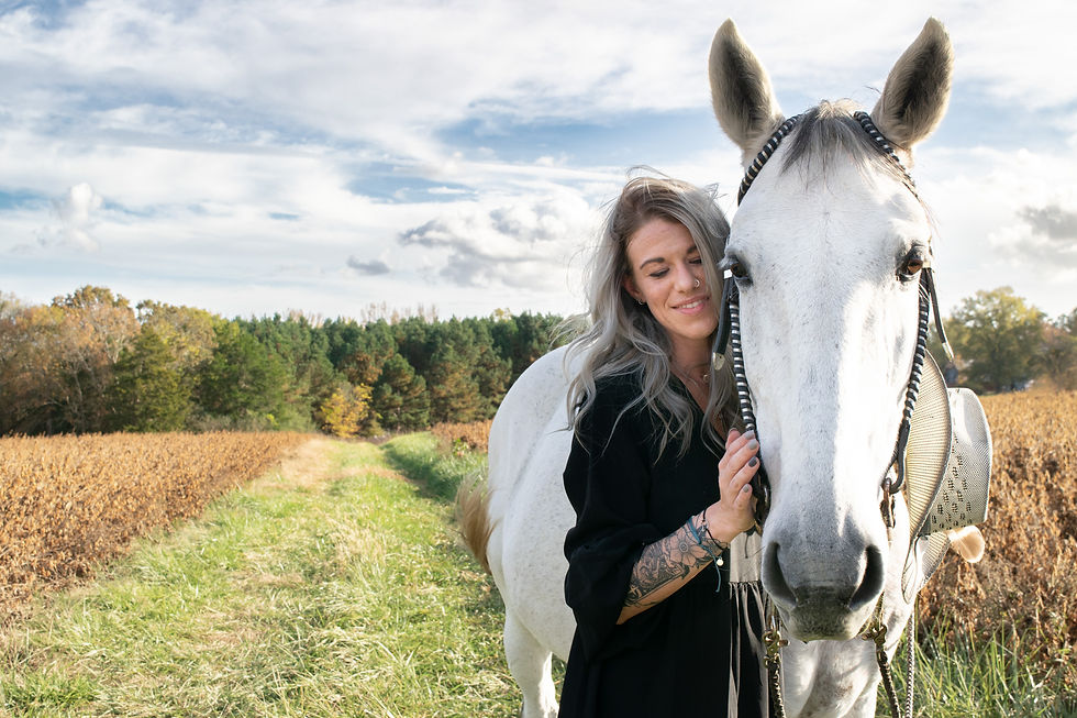 EQUINE PHOTOGRAPHY