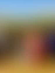 Bride and groom reacting to spilling drink during there wedding reception, guests are laughing and smiling. Background is a beautiful field on a sunny day.