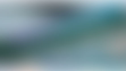                 The Ultimate Guide to Green Card Renewals