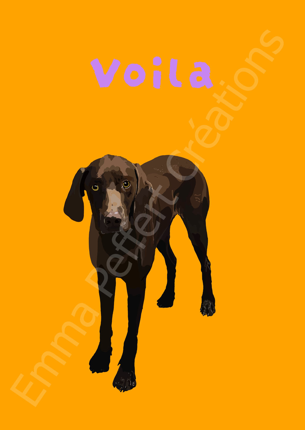Voila