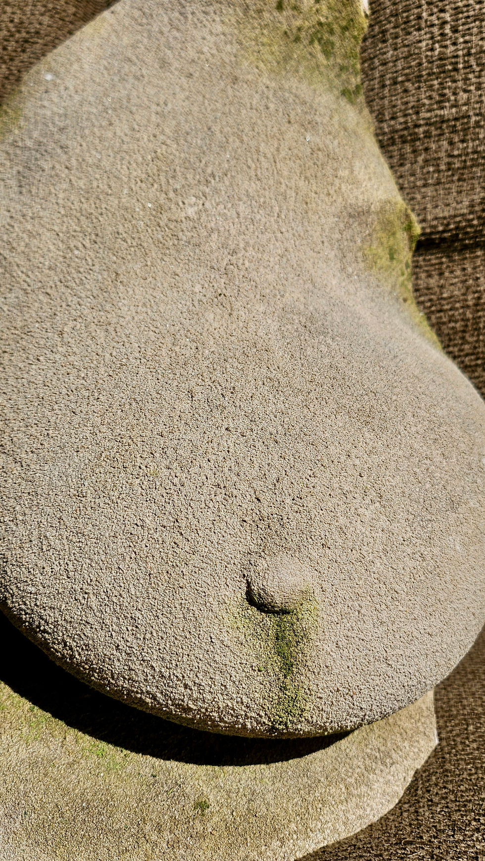 Sein