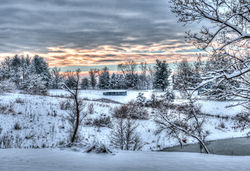 Lancaster, Roger_From My Deck - Roger Lancaster