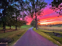 Pyles, Gomer_PathtoEuphoriaJPG