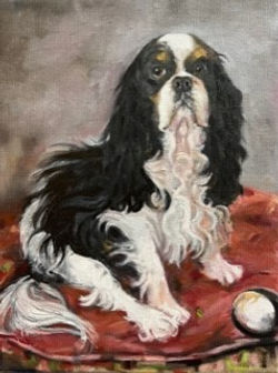 Calhoun, Anne-The Cavalier
