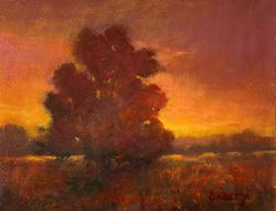 Garity, JIll_Shade Of Sunset