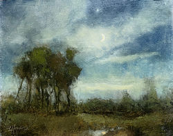 Hopkins, Laura_NightFall