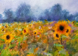Brabant,Jill_Sunflowerfield - Jill Brabant